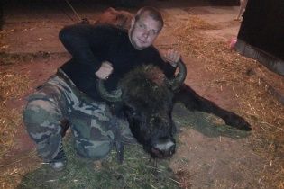 За вбивство червонокнижного зубра керівнику лісгоспу загрожує 5-річне ув'язнення