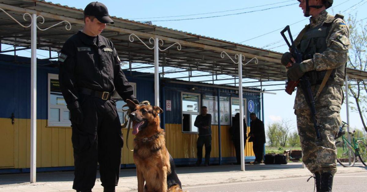 Прикордонники показали своїх чотирилапих напарників - Укрaїнa - TCH.ua