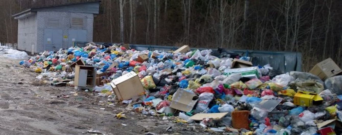 У Челябінській області волоцюги бенкетували на смітнику