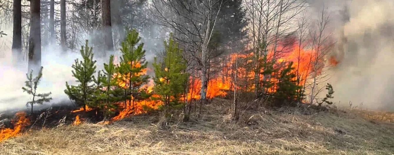 На Закарпатті через спалення сухої трави без газу залишились 7 сіл