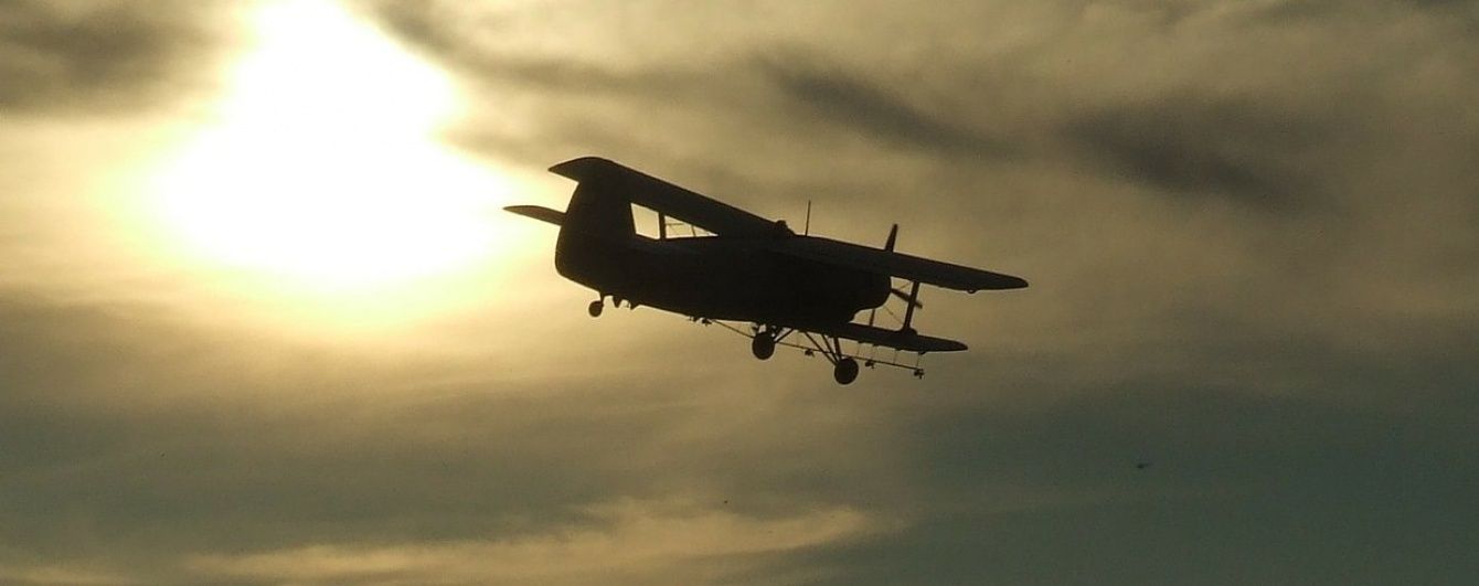 У Росії розбився літак Ан-2, пілот загинув
