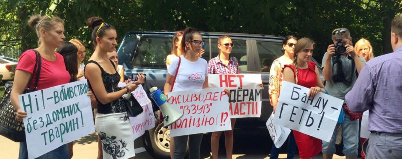 Українській захисниці тварин погрожують через розголос історій про масові отруєння собак
