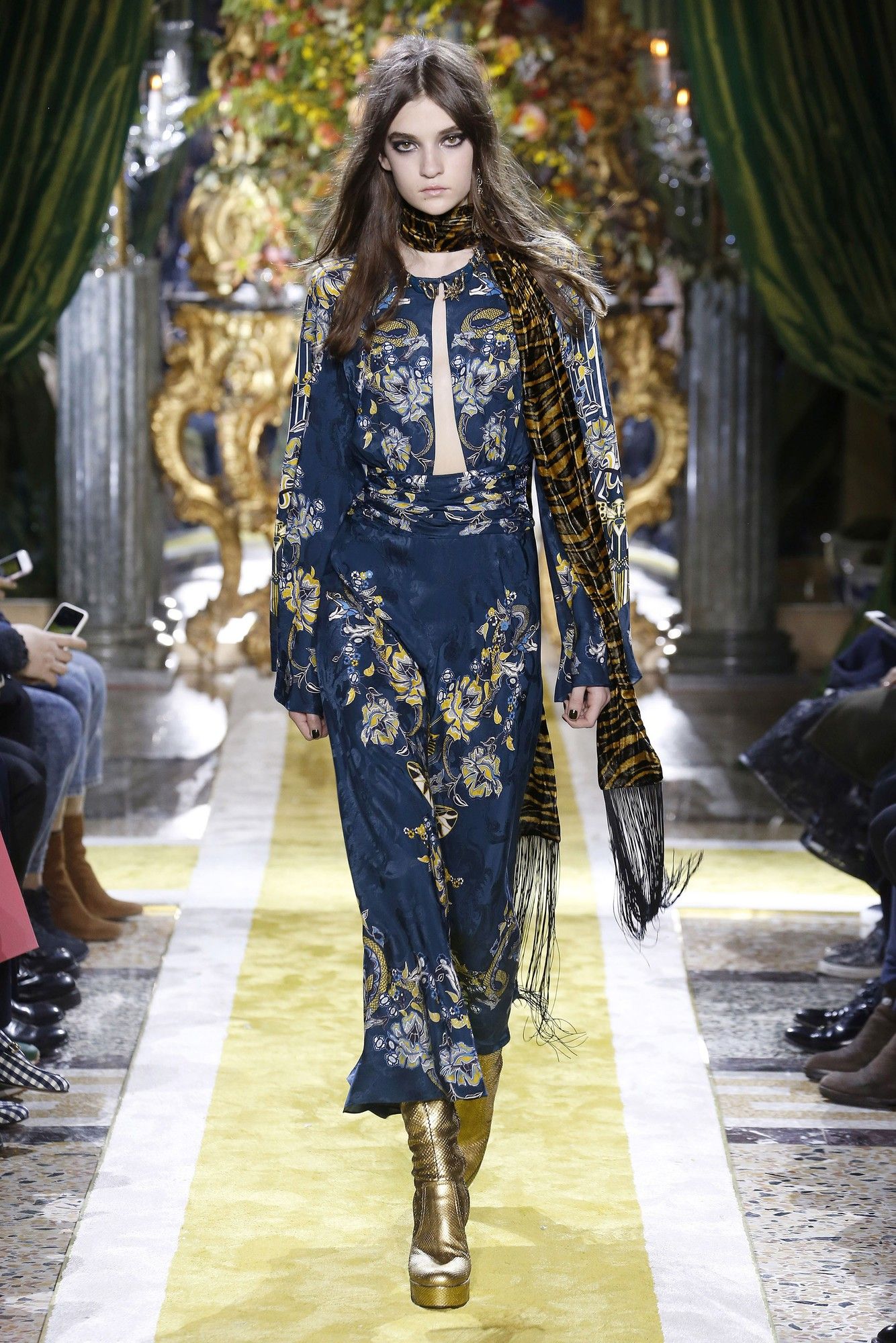 Коллекция Roberto Cavalli прет-а-порте сезона осень-зима 2016-2017_2