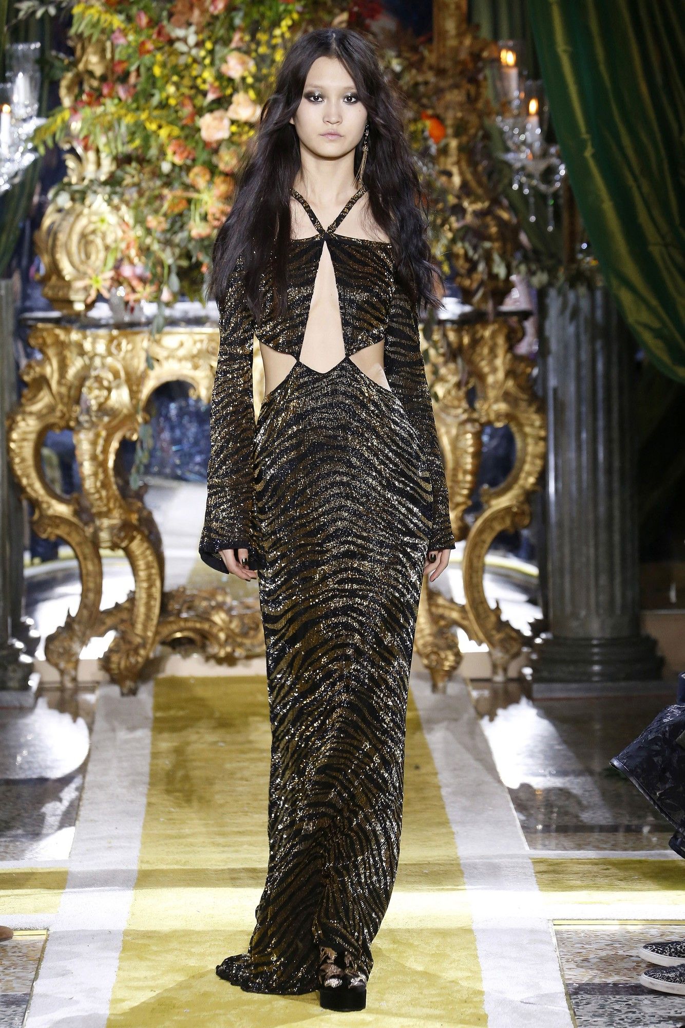 Коллекция Roberto Cavalli прет-а-порте сезона осень-зима 2016-2017_6