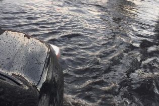 Непогода на Днепропетровщине: десятки обесточенных населенных пунктов и подтопленные улицы
