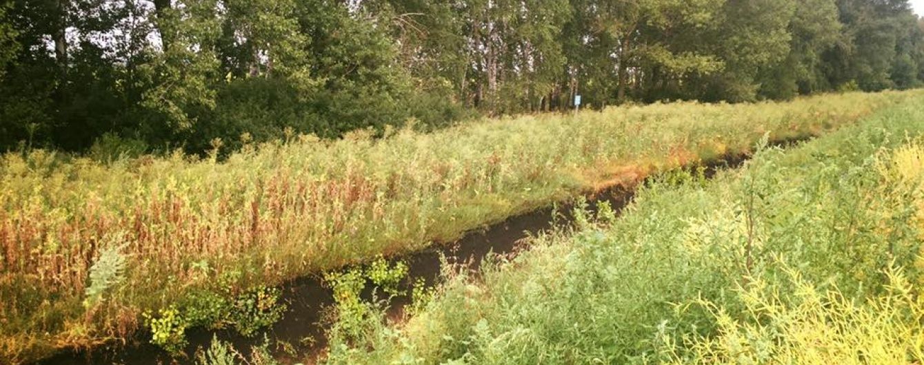 Прокуратура розслідує розкрадання з бюджету 1,8 млн грн, виділених на проект "Стіна"