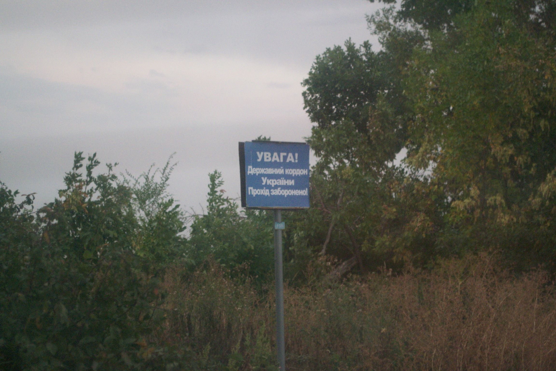 Діма, для блогів