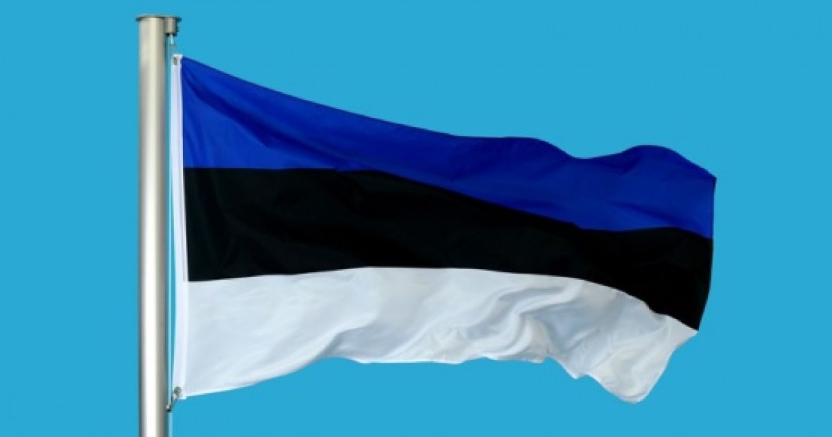 Эстония приняла декларацию в поддержку Украины за агрессию РФ в Керченском проливе