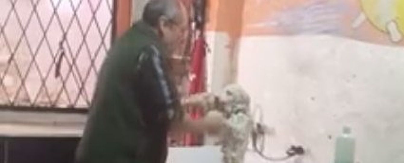 Юзери Мережі шаленіють від кумедного перукаря для собак, який танцює з улюбленцем