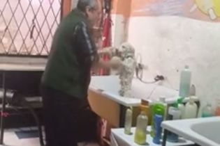 Юзери Мережі шаленіють від кумедного перукаря для собак, який танцює з улюбленцем