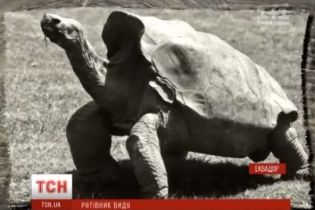 Самець черепахи на ім'я Дієго врятував свій вид від вимирання