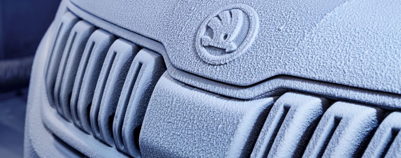 Skoda сделала своим клиентам необычный подарок