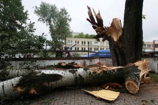 Поранені люди та поламані дерева: Польщу атакували руйнівні буревії
