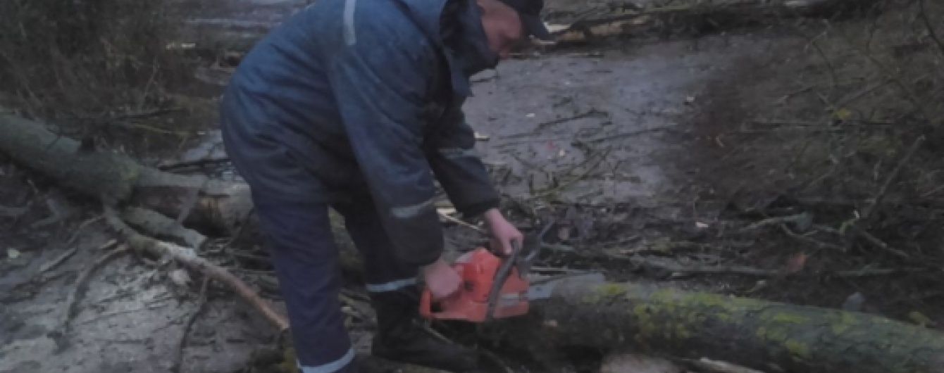 Через сильний вітер на Вінничині дерево впало на 16-річну дівчину