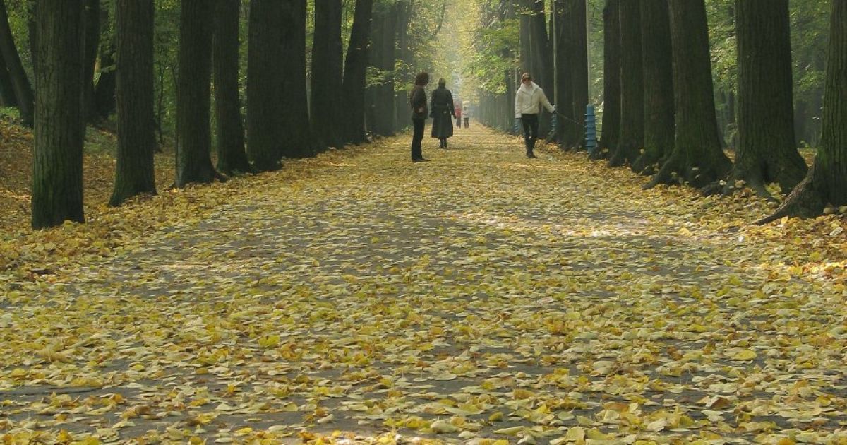 Останній день вересня в Україні буде сухим та прохолодним. Прогноз погоди на суботу