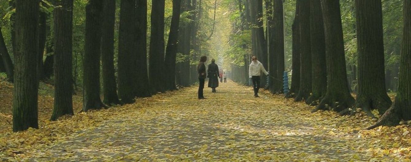 Ніч буде із заморозками, а ранок вкриє Україну туманами. Прогноз погоди на 18 жовтня