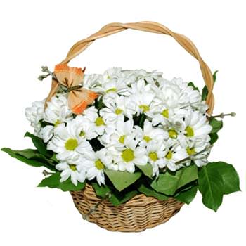 Flowers.ua