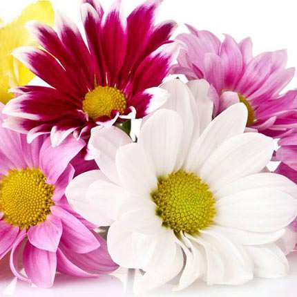 Flowers.ua
