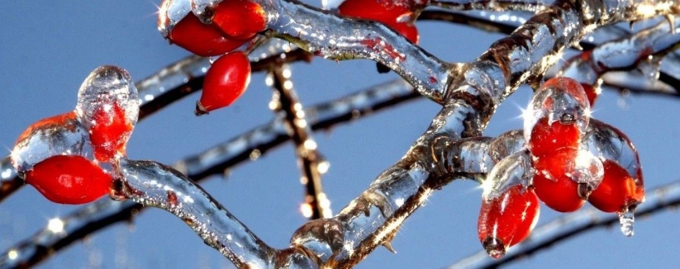 Через ожеледицю у Вінниці різко зросла кількість ДТП і травм місцевих