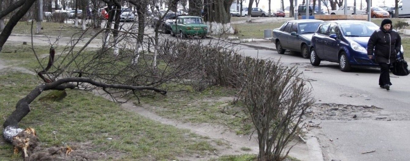 На Львівщині штормовий вітер валить дерева