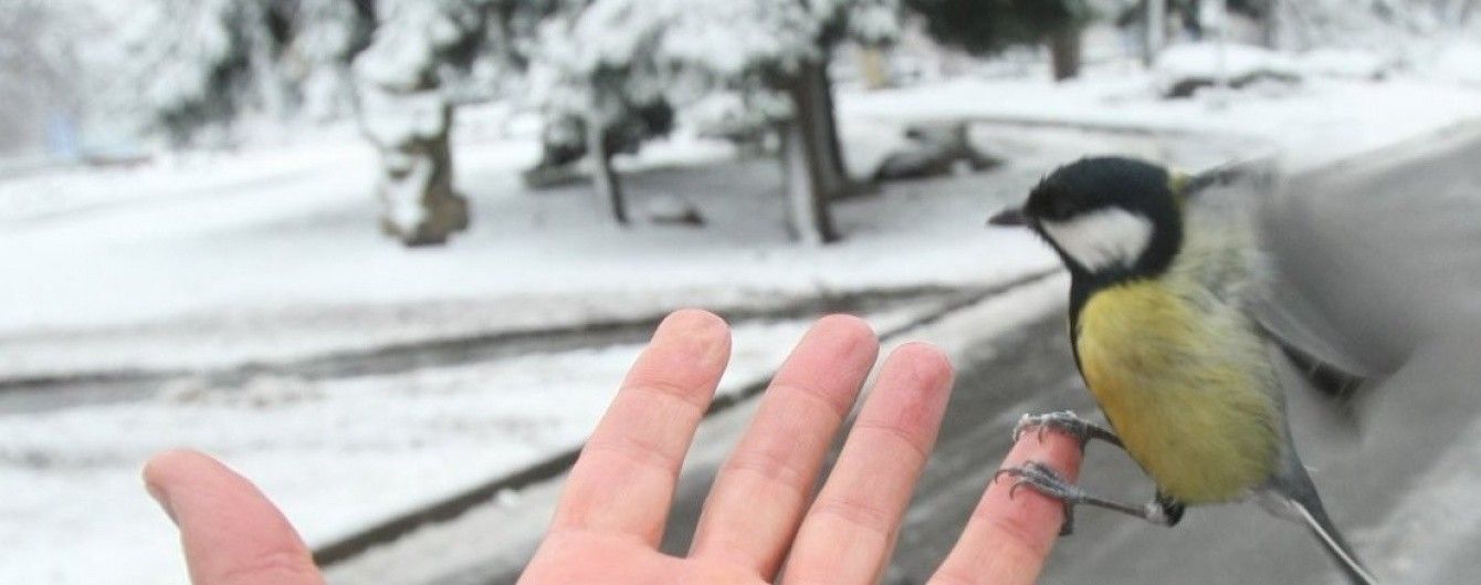 Неділя притрусить снігом майже всю Україну. Прогноз погоди на 18 грудня