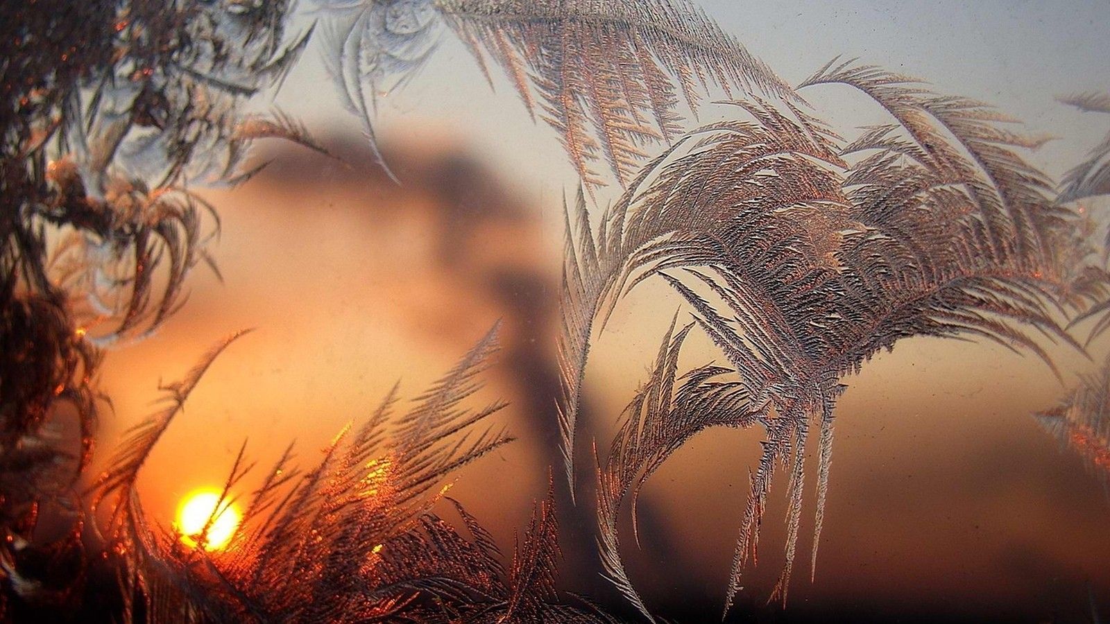 Зима, сонце, природа