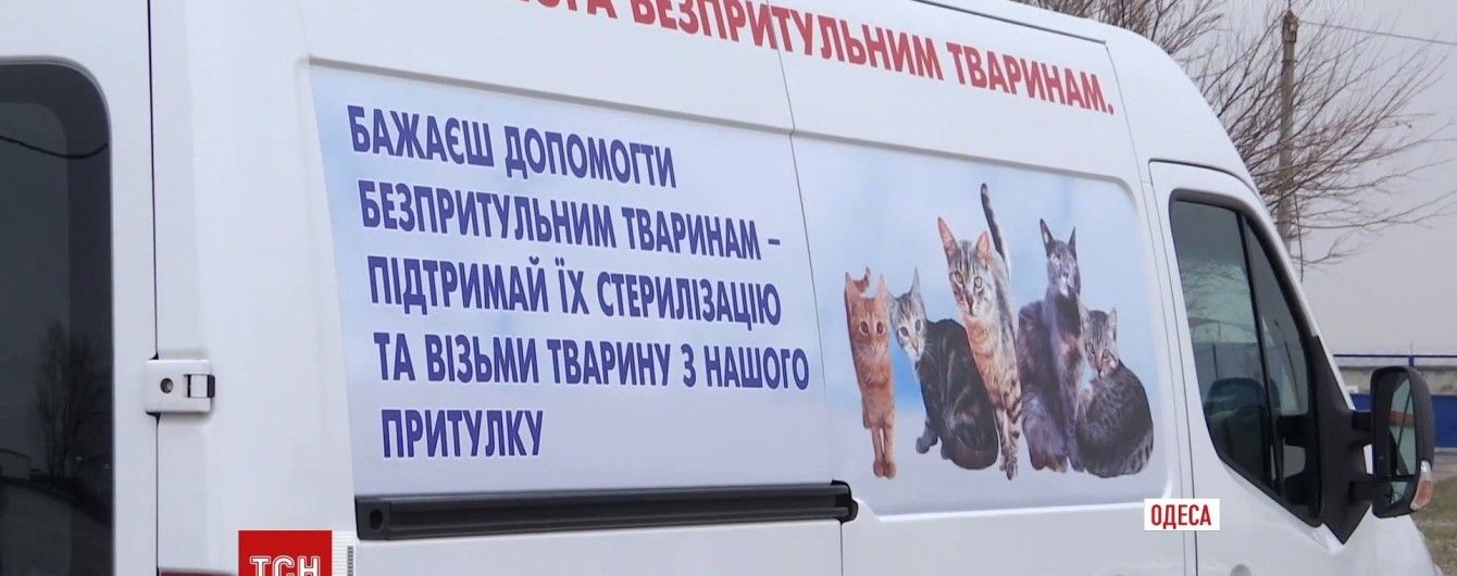 В Одесі з'явилася перша в Україні швидка допомога для тварин