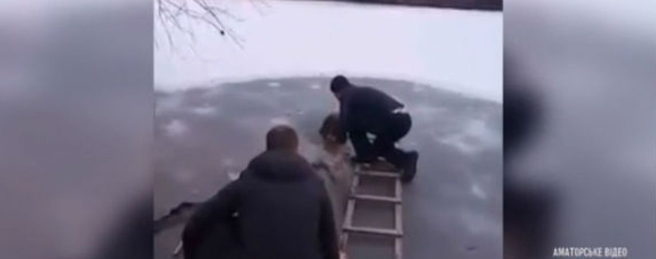Дільничний на Київщині влаштував рятувальну операцію для вівчарки, яка замерзала в ополонці