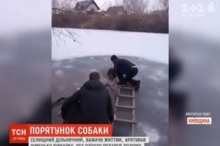 Дільничний на Київщині влаштував рятувальну операцію для вівчарки, яка замерзала в ополонці