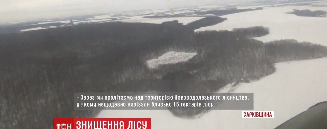 На Харьковщине просят приравнять вырубку леса к терроризму