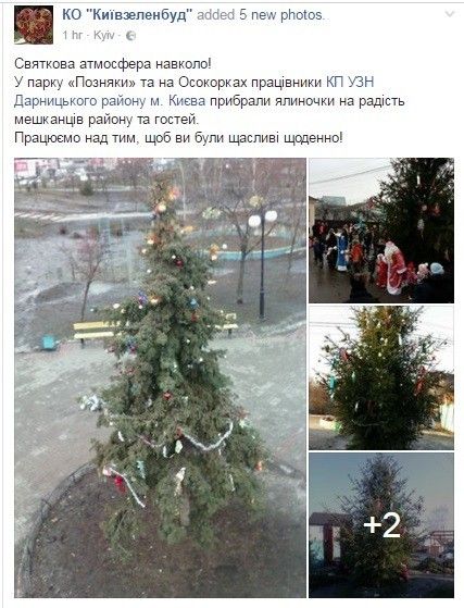пост київзеленбуду