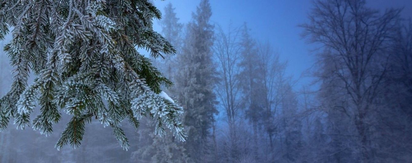 На Закарпатье нашли туристку, которая пропала во время прогулки