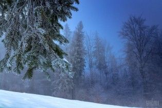 На Закарпатті знайшли туристку, яка зникла під час прогулянки