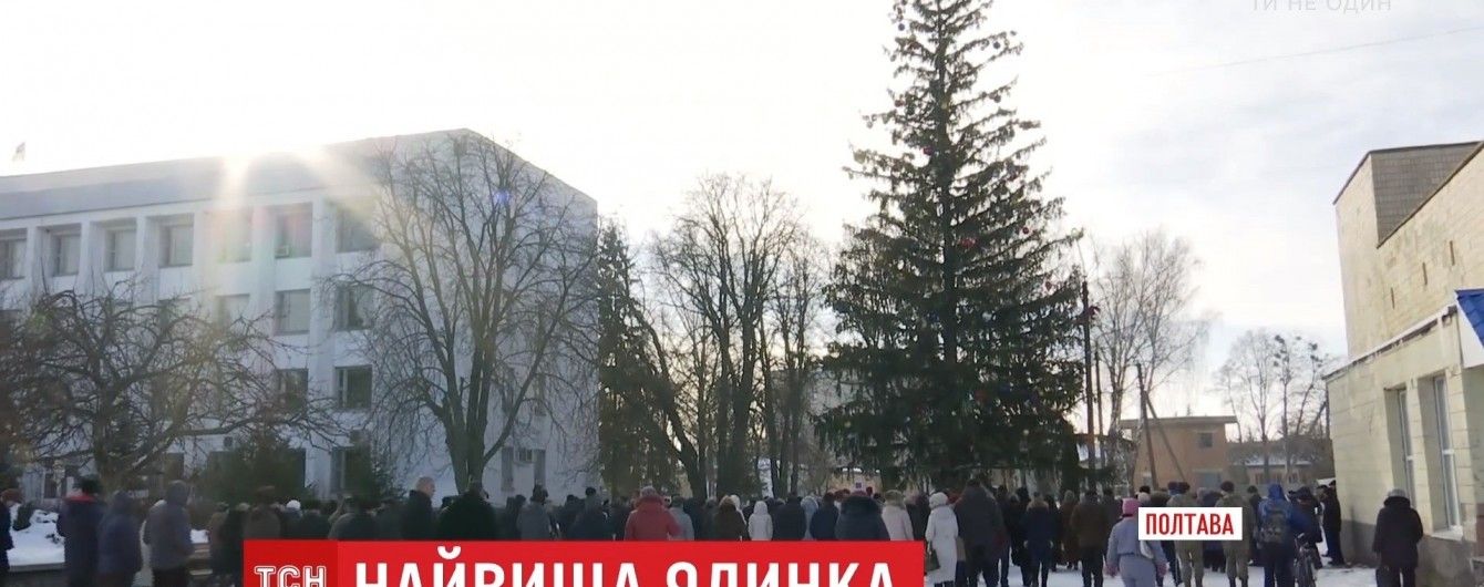 Провінційне місто на Полтавщині прикрасило найвищу живу ялинку в Україні
