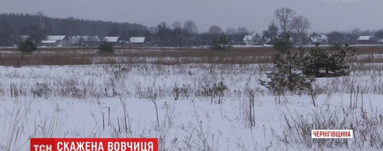 Покусанные пограничники рассказали, как боролись со взбесившейся волчицей