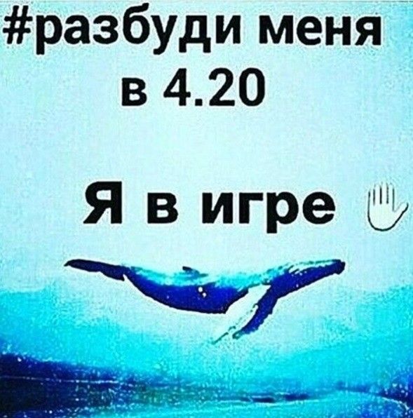 кити