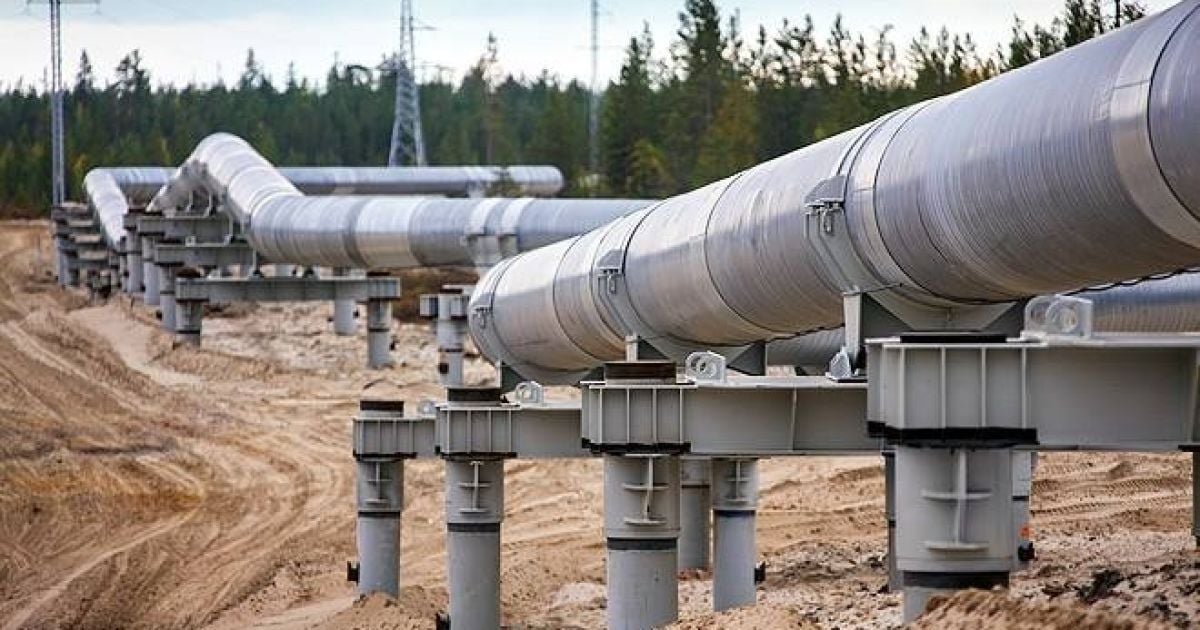 На Закарпатье распиливают стратегический нефтепровод, разворовывая топливо и уничтожая леса