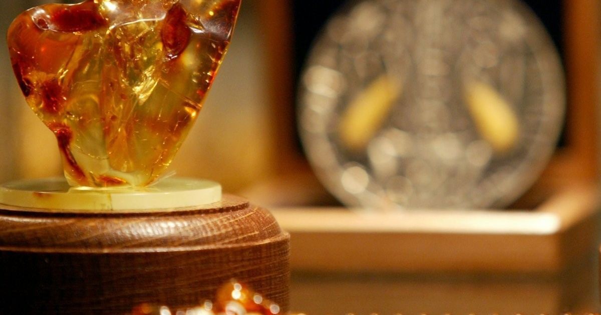 В Украине может появиться монополист по добыче янтаря