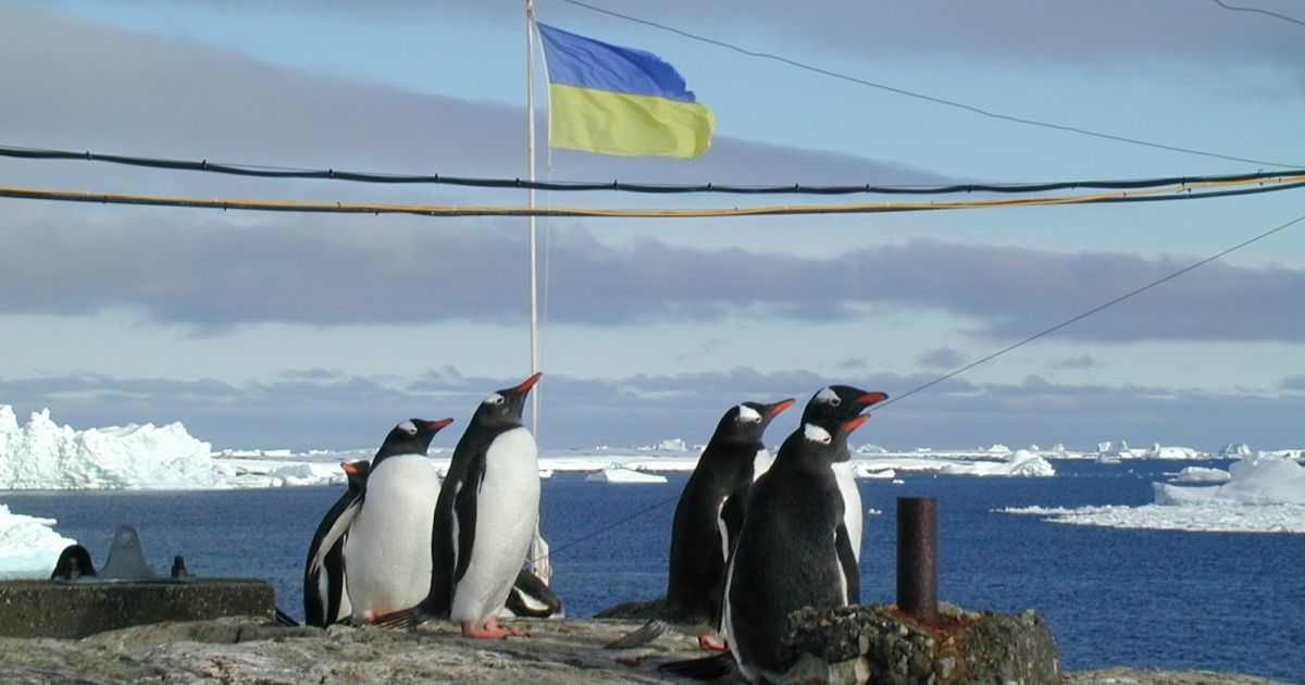 Оскарження тендерів зриває експедицію українських учених до Антарктиди