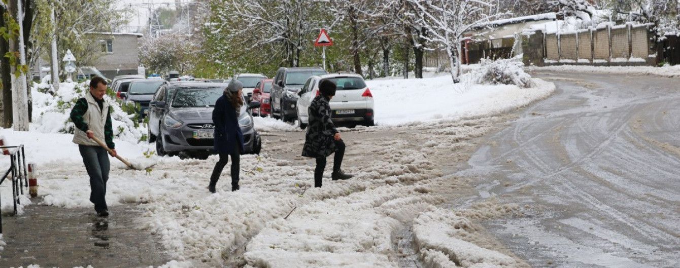 На Дніпропетровщині поваленим деревом вбило літню жінку