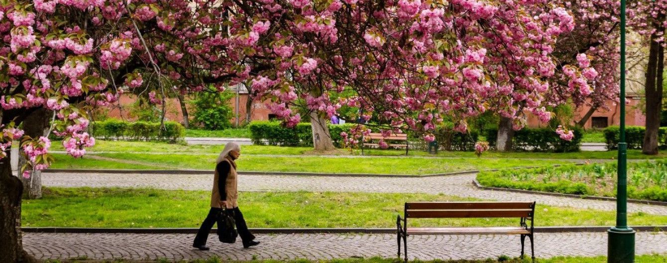Померлі українці перетворяться на дерева. У Раді з'явився законопроект про біопоховання