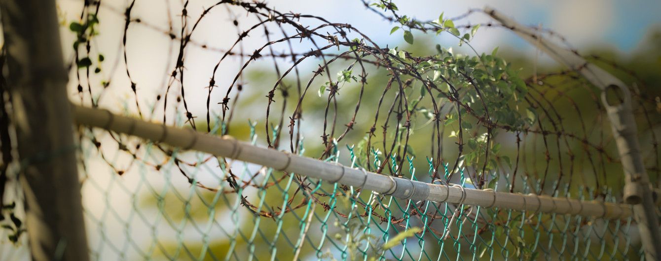 Избиение молотком сироты: нападавшую упекли в тюрьму