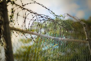 В Луцке убийцу отпустили на свободу, потому что в тюрьме для него не хватило места