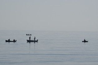Рыбный Апокалипсис: украинские водоемы очень скоро останутся без рыбы