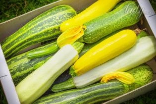 Что приготовить из кабачков: 4 необычных рецепта