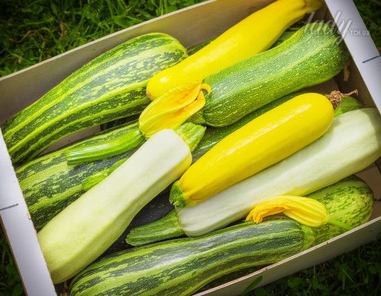 Що приготувати з кабачків: 4 незвичайних рецепти