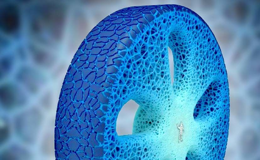 Michelin Vision