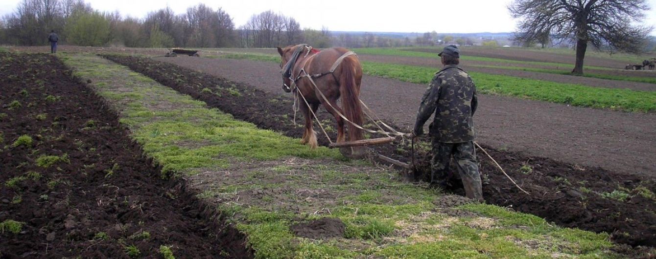 Землю вне населенных пунктов передадут в собственность общинам – решение Кабмина