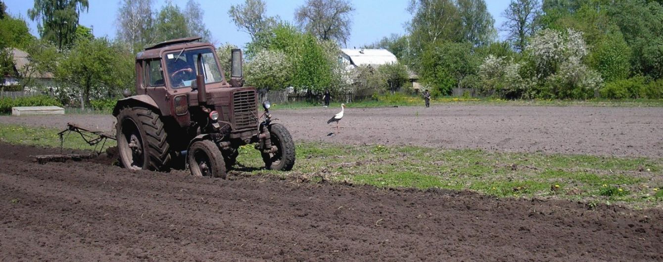"Уже сейчас, а не на будущее": глава Минэкономразвития должен разработать предложения для помощи фермерам из-за засухи