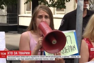 Під Адміністрацією президента зіштовхнулися мітинги зоозахисників і любителів цирку